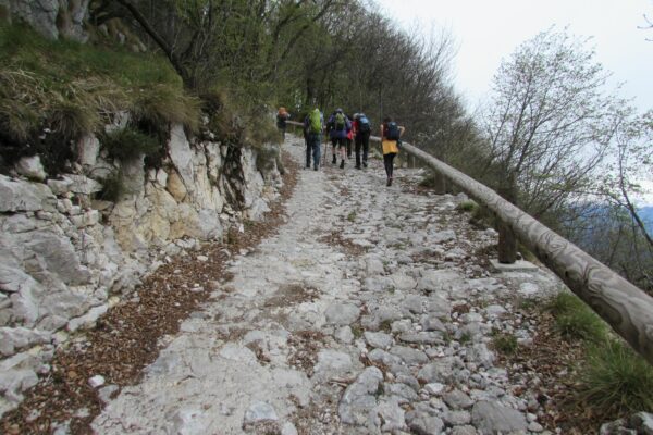 Wanderung Lago Molveno_AVS Kurtatsch-Margreid 5