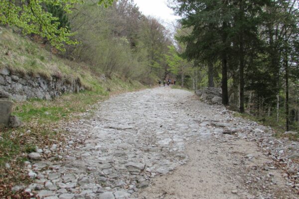 Wanderung Lago Molveno_AVS Kurtatsch-Margreid 8