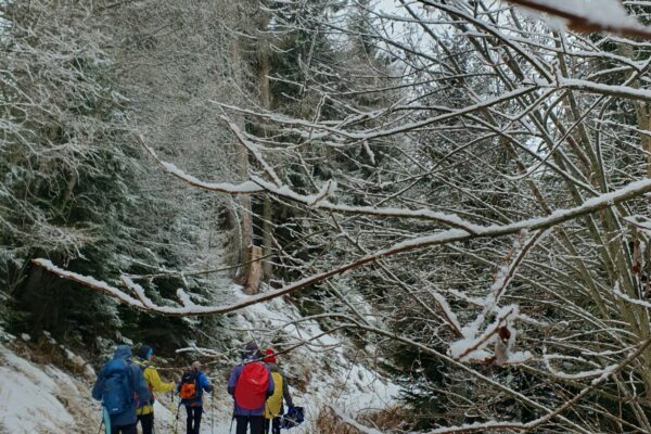 Winterwanderung Weissenstein 2