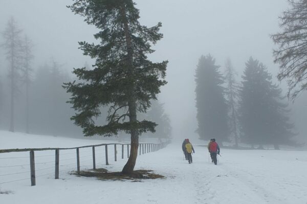 Winterwanderung Weissenstein 5