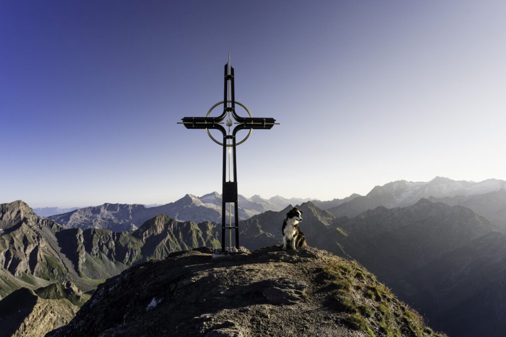 Hundewanderungen (c) Manuela Egger_the hiking panda