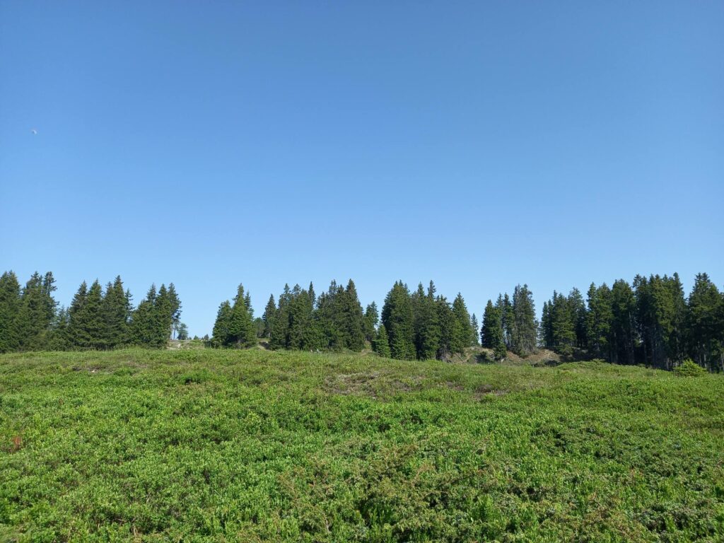 Außerultner Höhenweg I(c)Rosi Haller