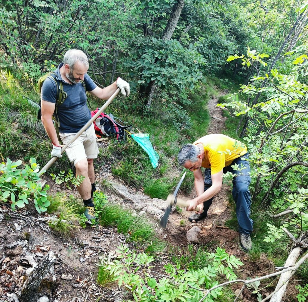 AVS Wegetag 2025 AVS Auer (c) AVS Auer