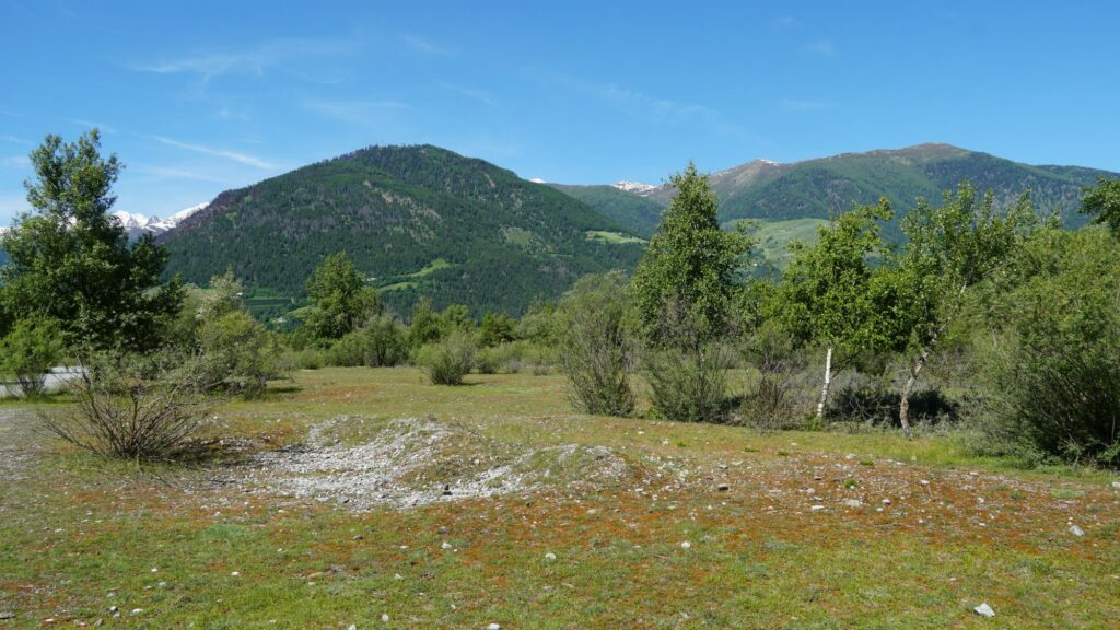 Trockenau Prader Sand I(c)Judith Egger AVS