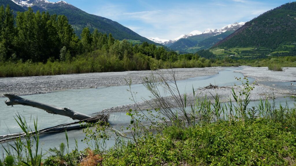 Biotop Prader Sand I(c)Judith Egger AVS