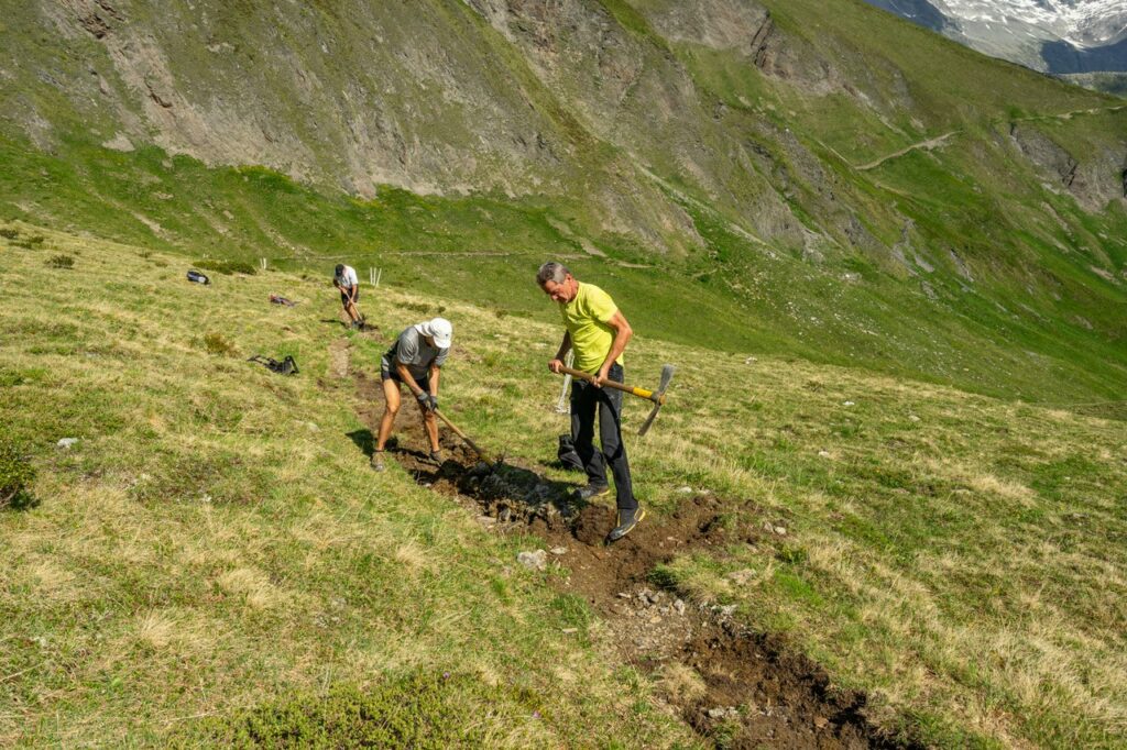 Wegetag 2025 (c) Alfred Stolzlechner 4