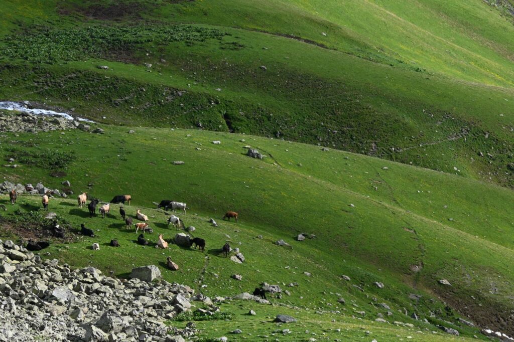 ALPINIST_Georgien_2025_(c)_Tobias_Engl