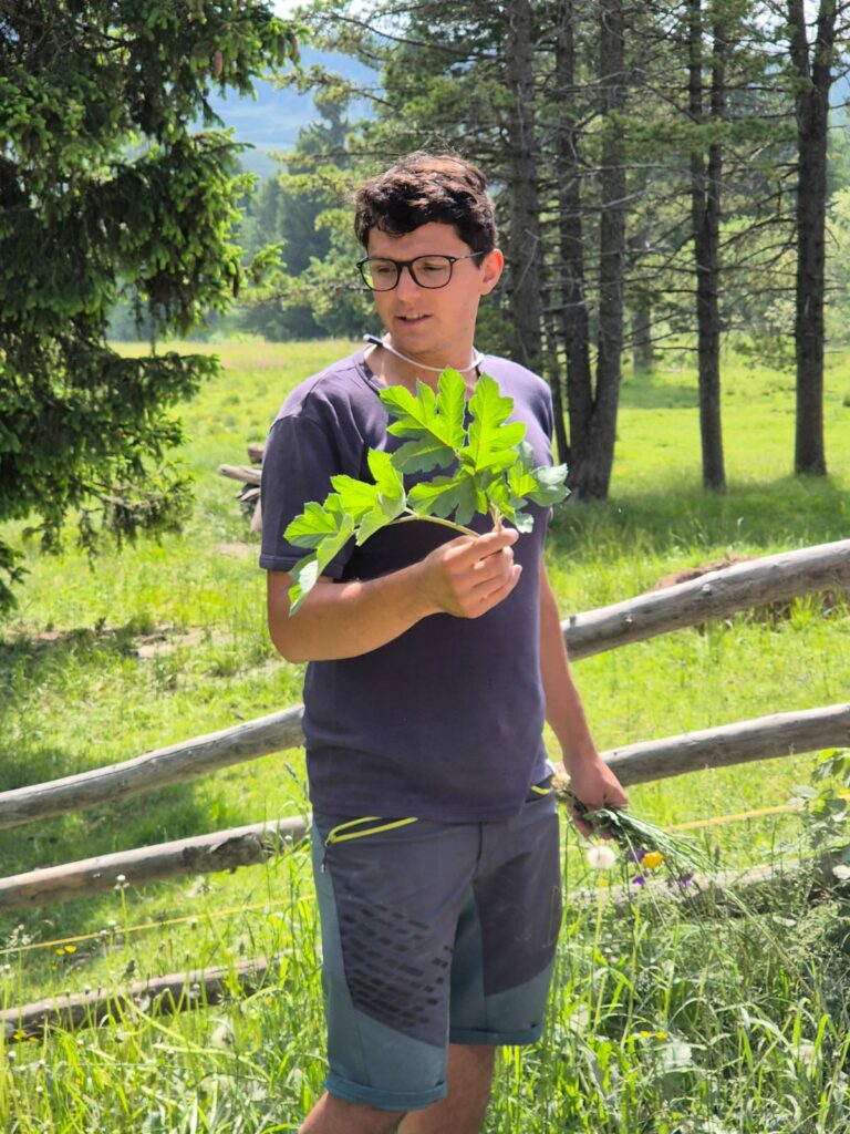 Alois Fundneider I(c)Flora Rainer