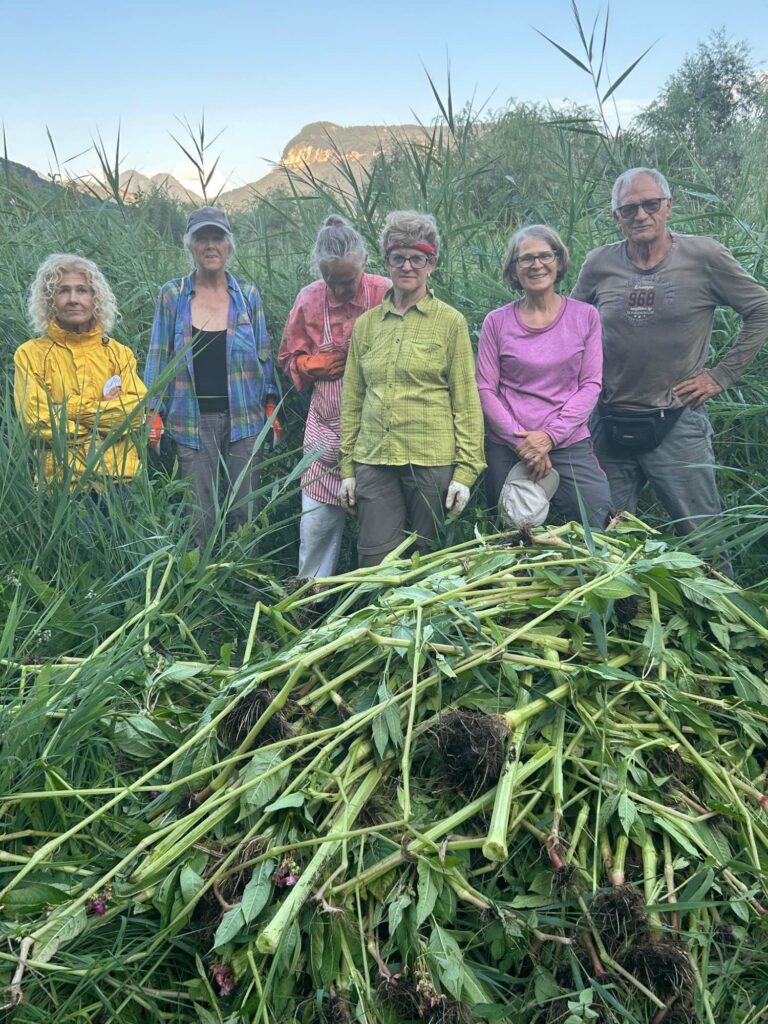 Biotoppflege Kalterer See 2025 | (c) Othmar Peer_AVS Tramin (2)