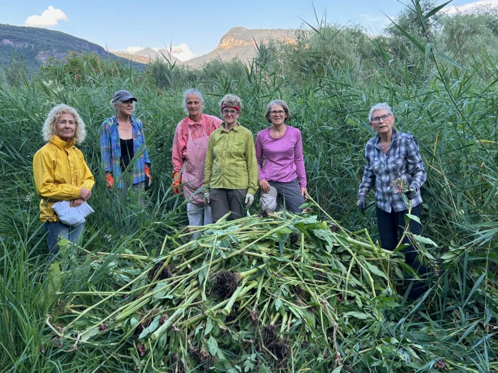 Biotoppflege Kalterer See 2025 | (c) Othmar Peer_AVS Tramin (3)