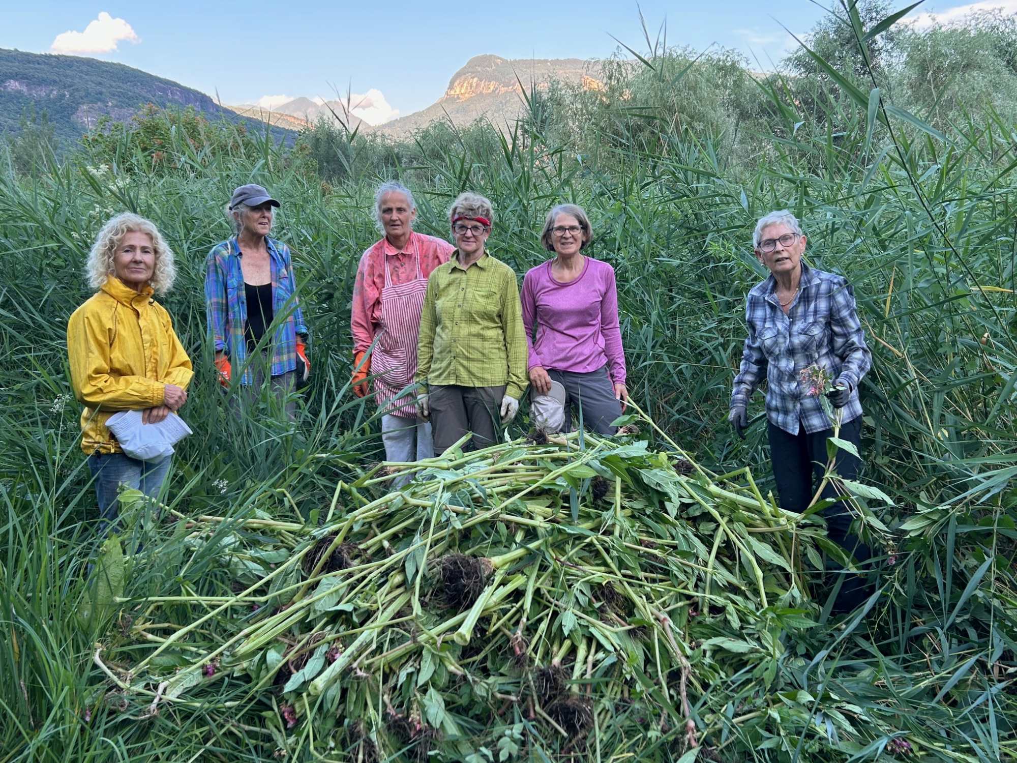 Biotoppflege: Ausreisaktion am Kalterer See