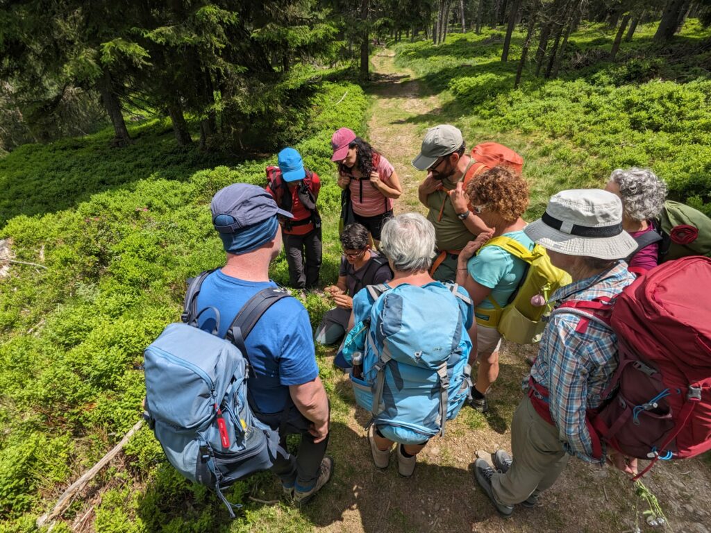 Botanische Wanderung 2025 I(c)Marleen Visser