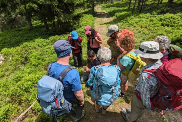 Botanische Wanderung 2025 I(c)Marleen Visser