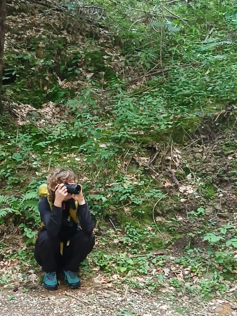 Anna Schuierer Social Media Projektarbeit