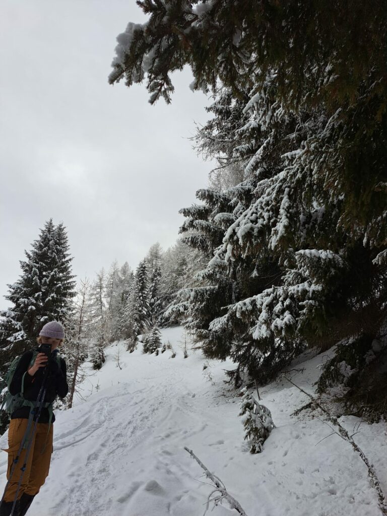 Anna Schuierer Social Media Projektarbeit