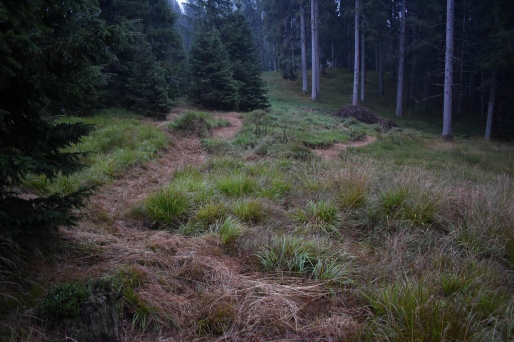 Mäharbeiten im Naturpark Trudner Horn I(c)Walter Eccli