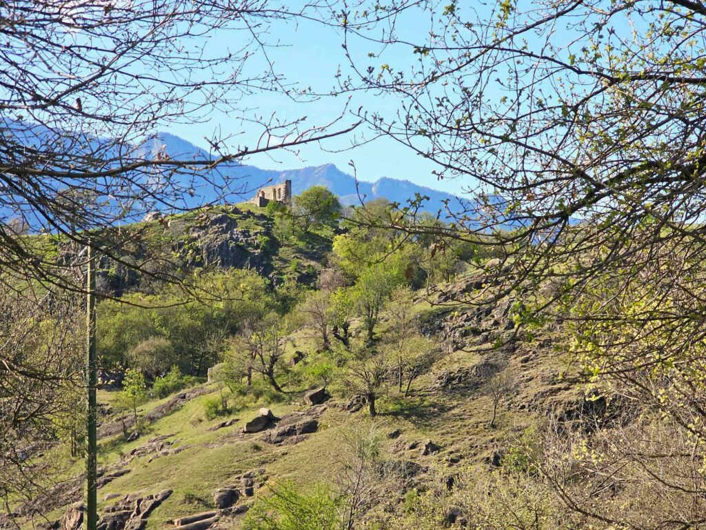 Castelfeder I (c)Archiv AVS_AVS