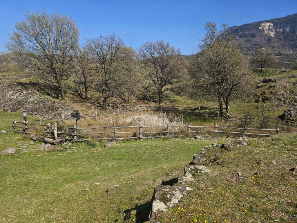 Castelfeder I (c)Ulrike Huber I AVS