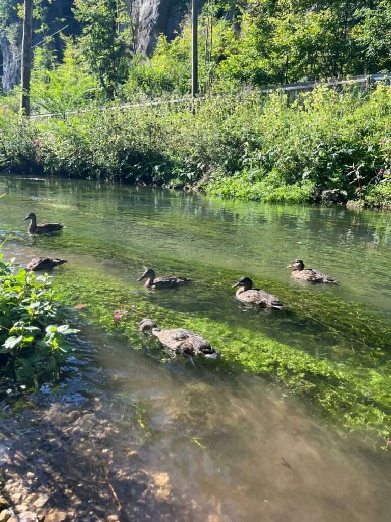Frankenjura20 I © Lena Trojer