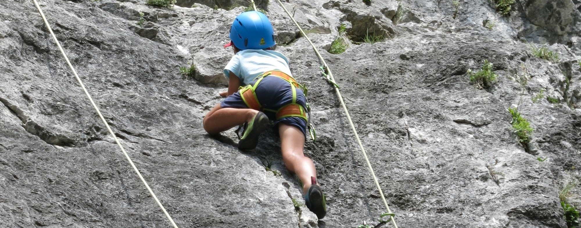 Das Klettergarten-Rätsel in Aufhofen