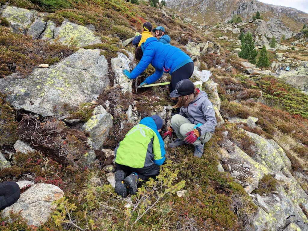 Mineralien I (c)Stefan Steinwandter I AVS