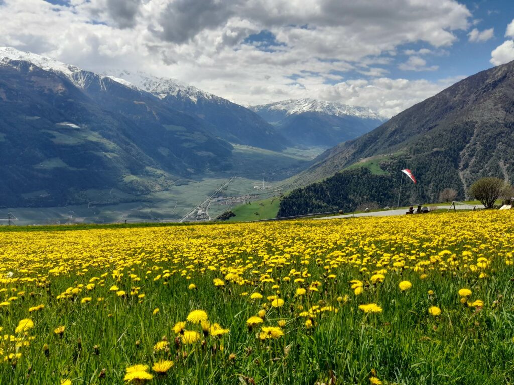 Beim Linthof Naturns I(c)JudithEgger