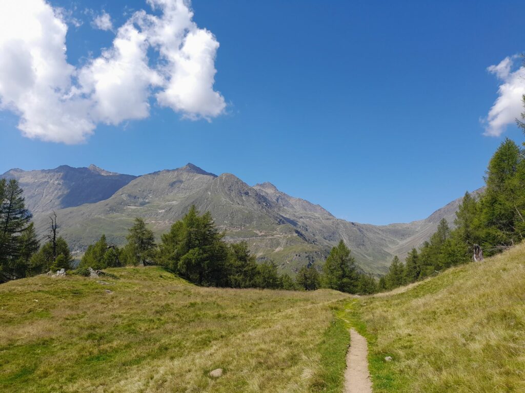 Weg mit Blick zum Timmelsjoch I(c)JudithEgger