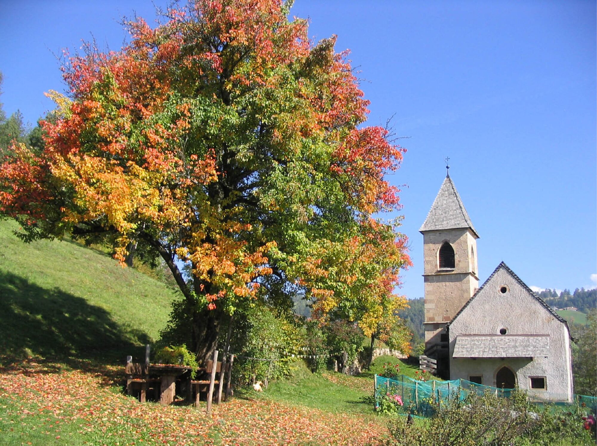 Wanderung: Zu den Erdpyramiden in der Wieser Lahn von Nobls