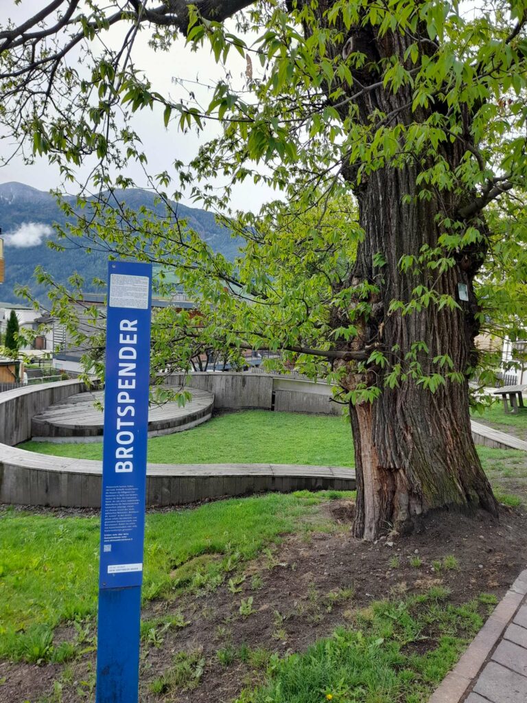 Naturdenkmal in Feldthurns I(c)JudithEgger