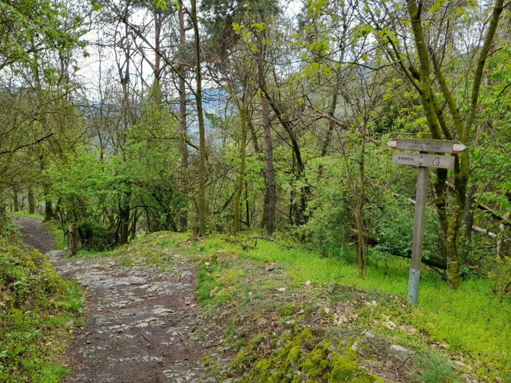 Keschtn- u.Birmehlweg bei Pardell I(c)JudithEgger