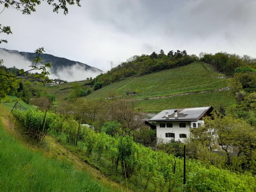 Kulturlandschaft Mittelgebirgsterrasse bei Brixen I(c)JudithEgger