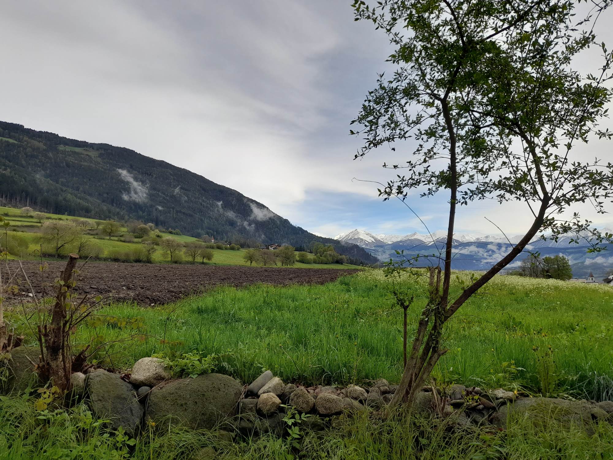Von Brixen über den Keschtnweg nach Klausen