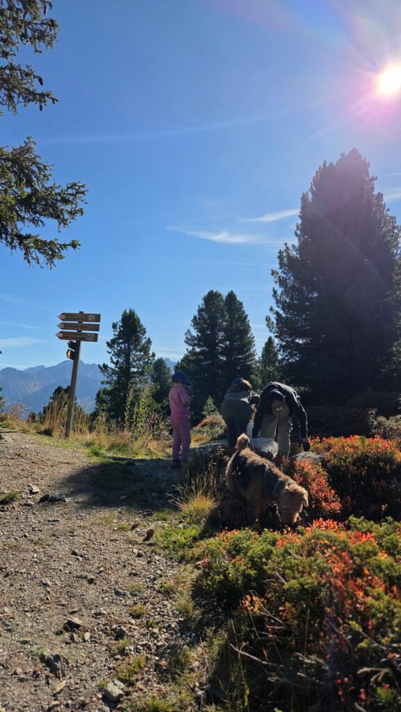 Müllsammelaktion 2025 I(c)Lisa Mantovan