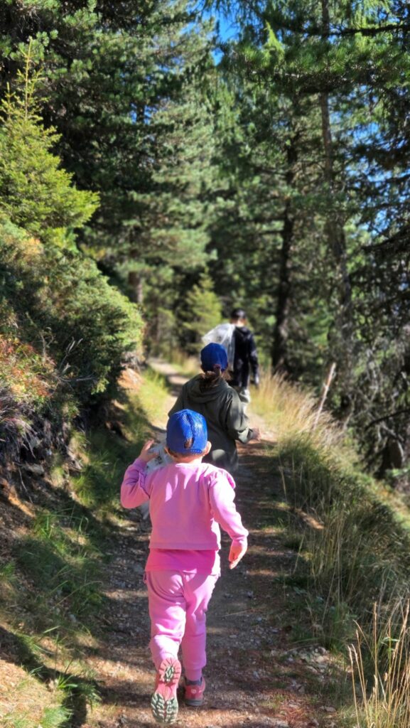 Müllsammelaktion 2025 Gebiet Speikboden I(c)Lisa Mantovan