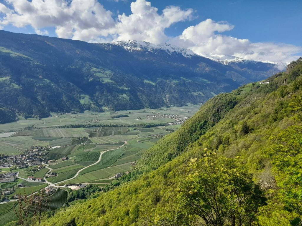 Sonnenberg bei Partschins I(c)JudithEgger