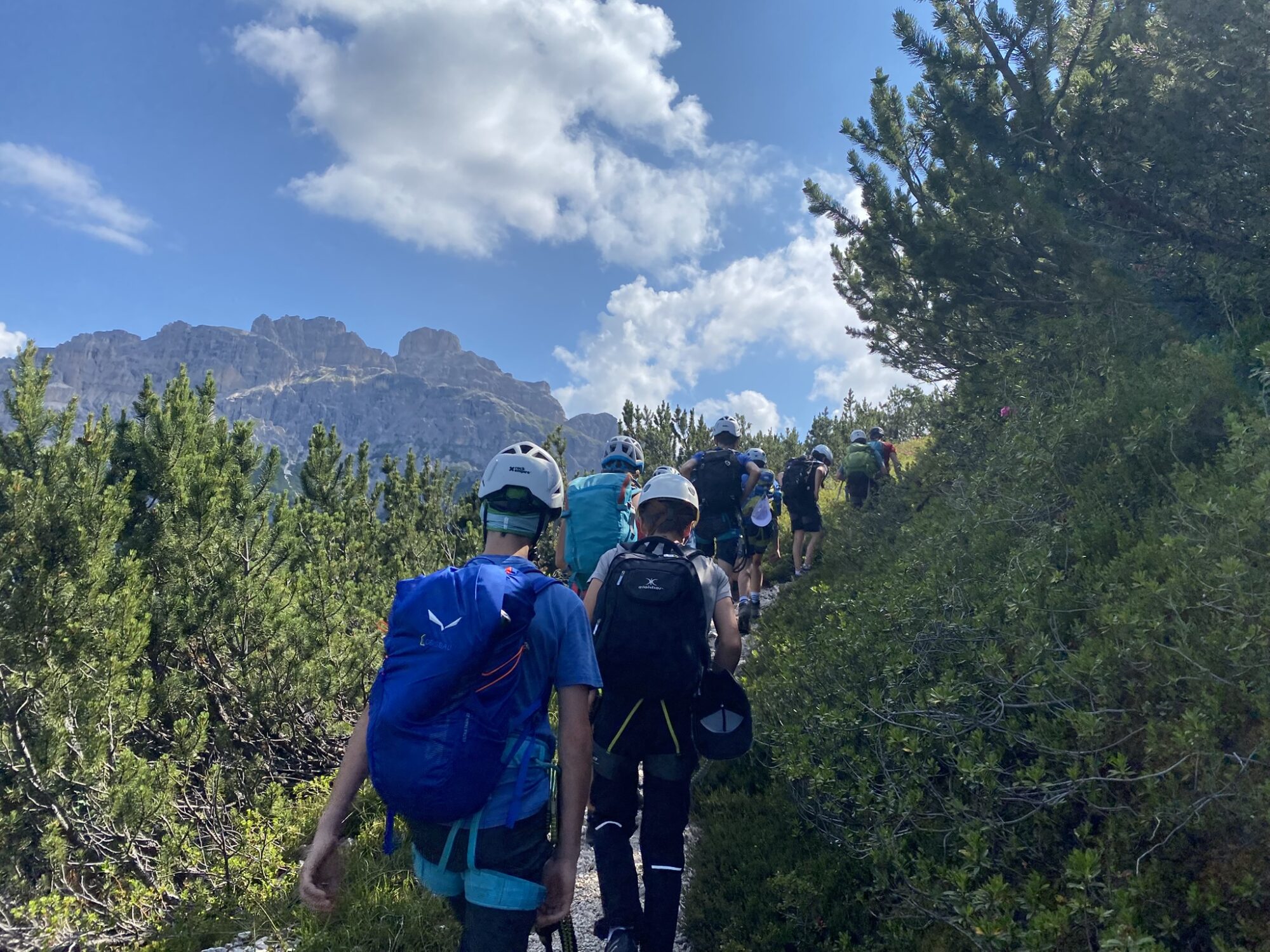 Tag der Kinderrechte: AVS setzt sich für Umweltschutz ein, viele Aktionen für Kinder