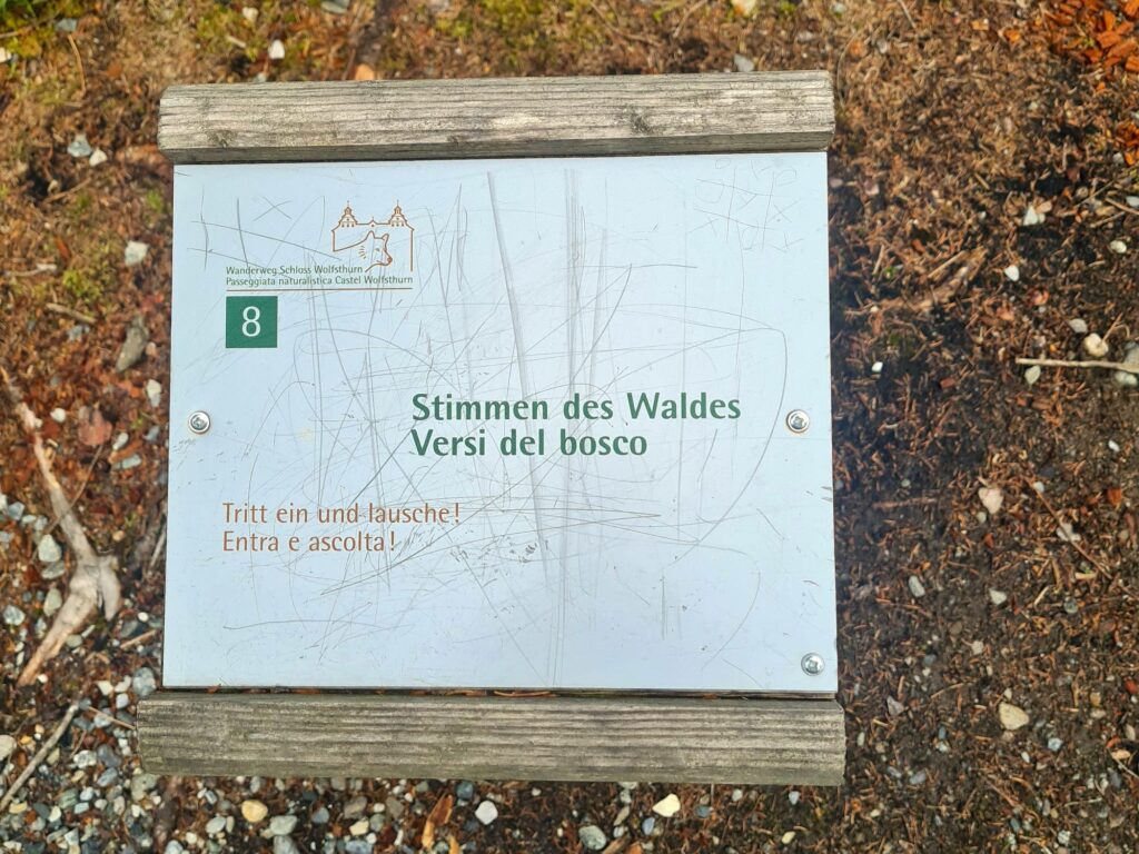 Achenrainschlucht I (c)Anna Bernard I AVS