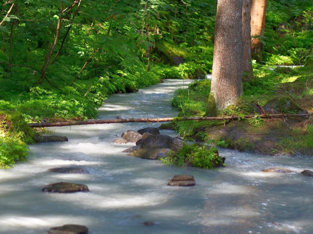 Achenrainschlucht I (c)Miriam Federspiel I AVS