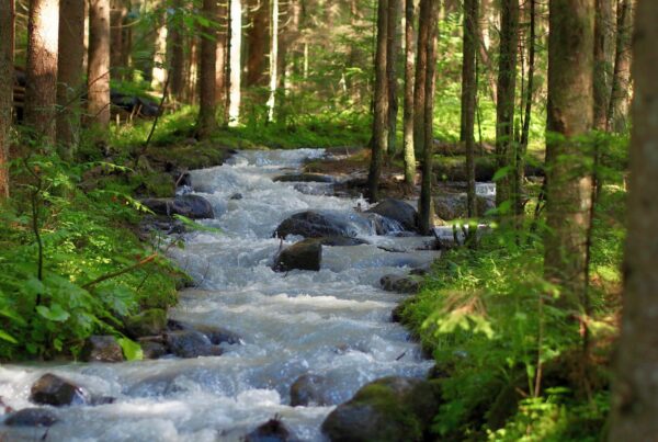 Achenrainschlucht I (c)Miriam Federspiel I AVS