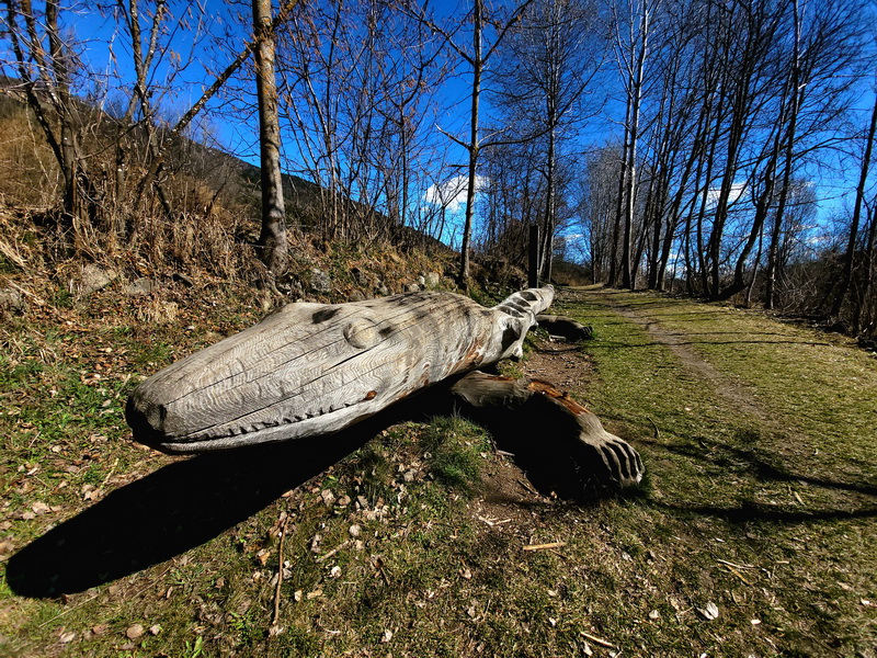 Wanderung: Honigbergweg am Sonnenhang von Pfalzen