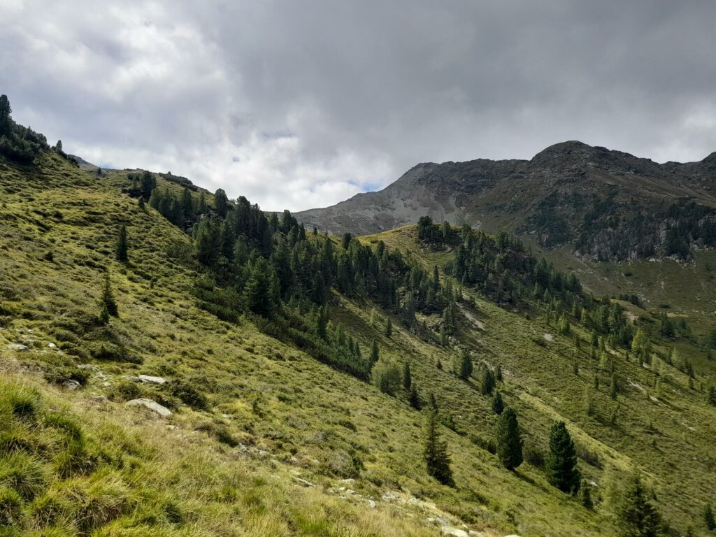 Aufstieg von Pens zum Durnholzer Jöchl I(c)JudithEgger