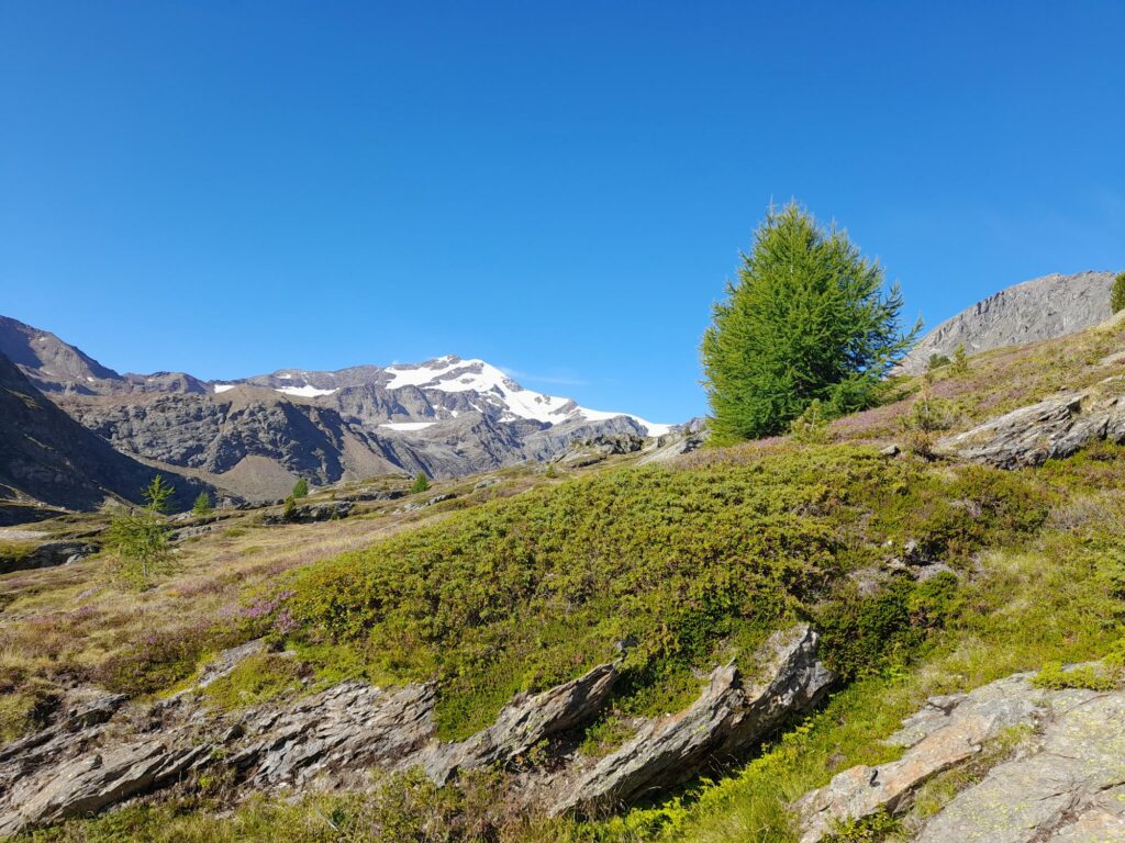 Aufstiegsweg mit Blick auf die Zufallspitze I(c)JudithEgger
