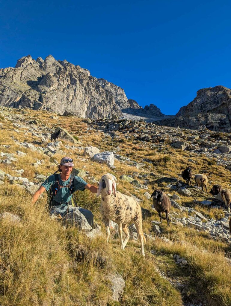 Aufwind_(c)_Maximilian_Braun