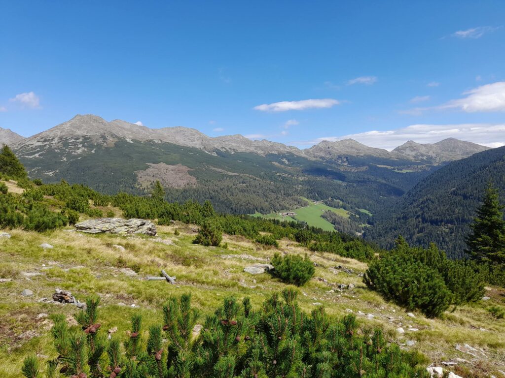 Blick ins Großalmtal bei Durnholz I(c)JudithEgger