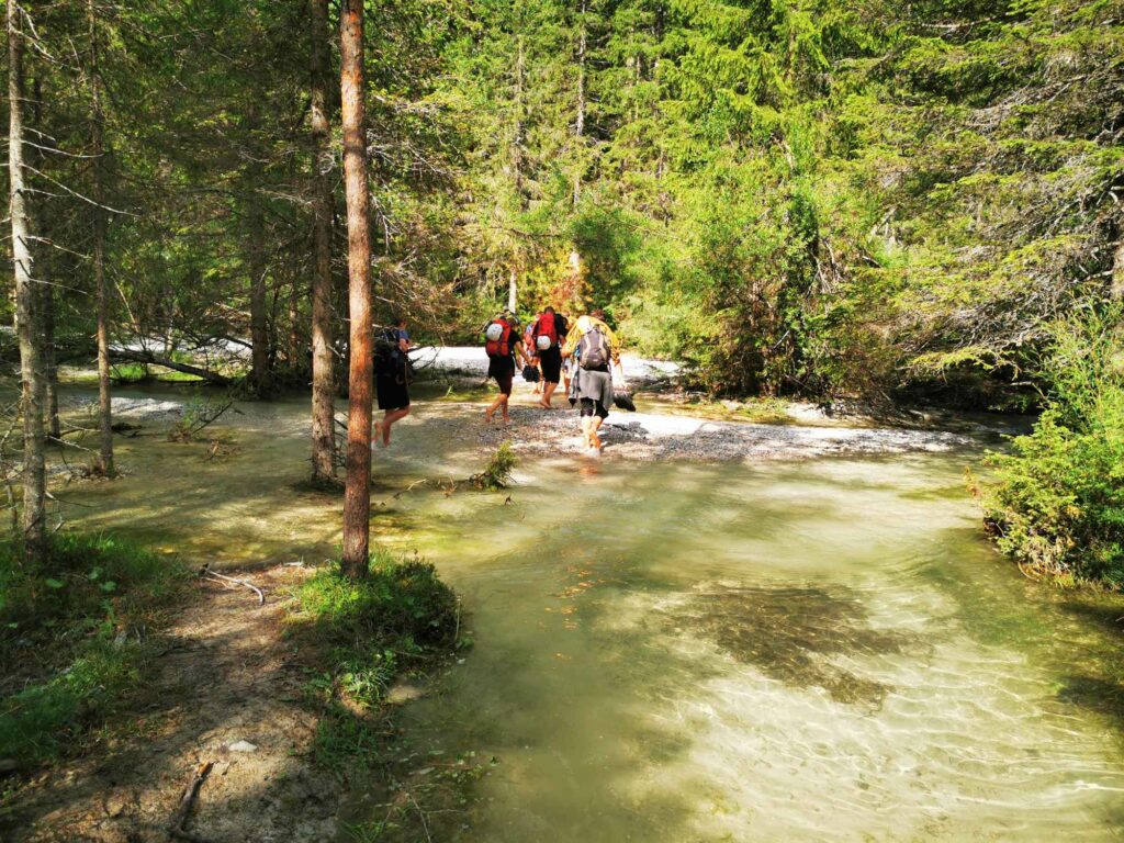 Im Bach I (c)Johannes Egger I AVS