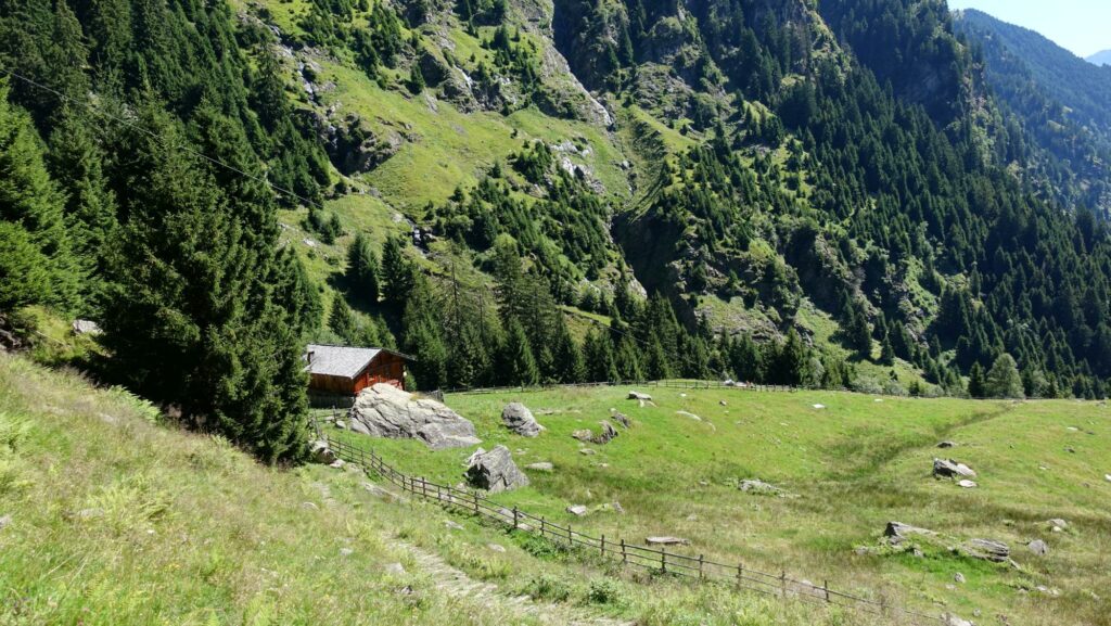Kigleralm Sprons I(c)JudithEgger