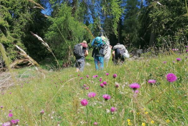 Naturpark I (c)Georg Profanter I AVS