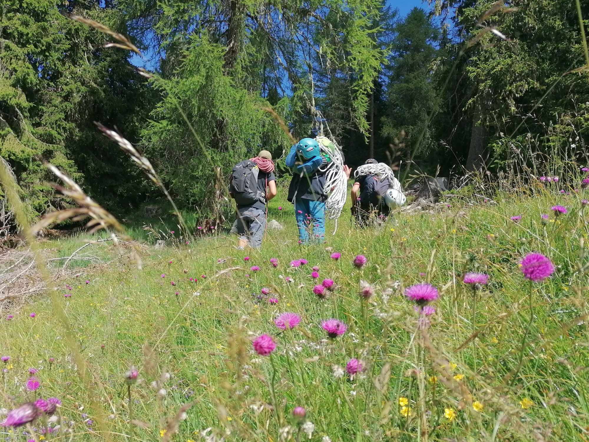 Südtirols Berge schützen – Freiwilliges Engagement für eine nachhaltige Zukunft