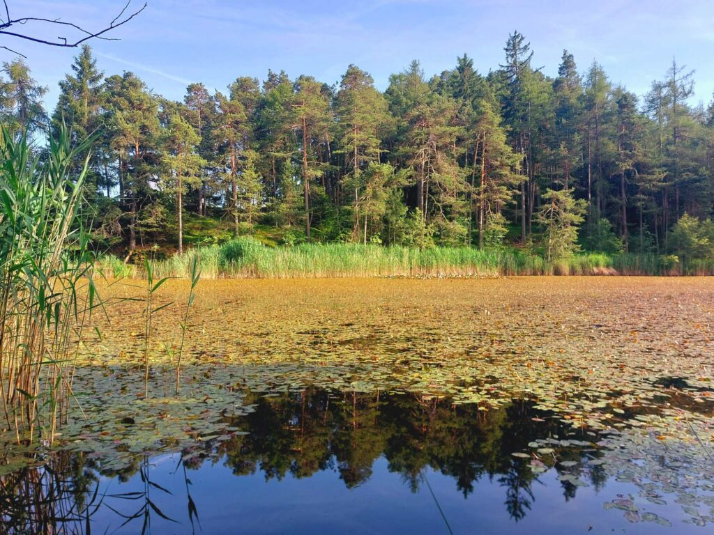 Naturpark I (c)Ralf Pechlaner I AVS