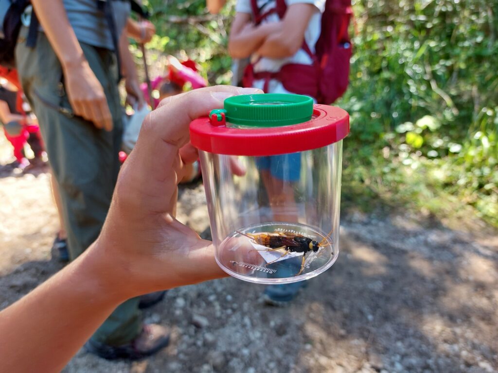 Naturpark I (c)Ralf Pechlaner I AVS